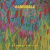 CANNIBALE – no mercy for love (CD, LP Vinyl)
