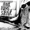 CAPRICORNS – ruder forms survive (LP Vinyl)