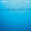 CARIBOU – suddenly (CD, LP Vinyl)
