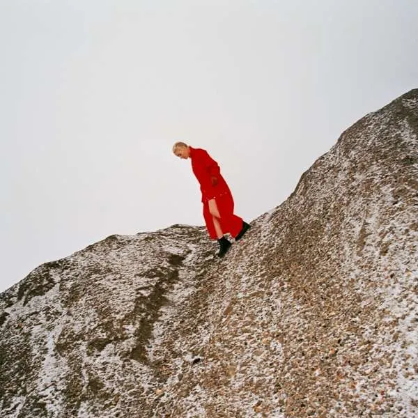 CATE LE BON – reward (CD, LP Vinyl)