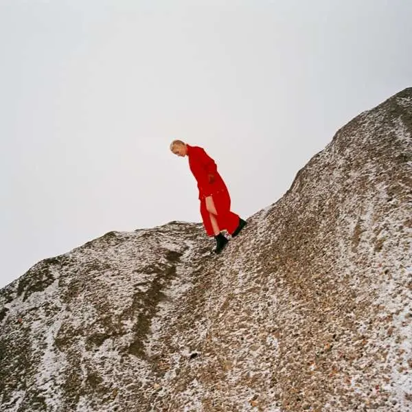 CATE LE BON – reward (CD)