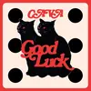 CAVA – good luck (LP Vinyl)