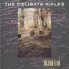 CELIBATE RIFLES – blind ear (LP Vinyl)