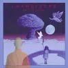 CHAMELEONS – arctic moon (CD, LP Vinyl)