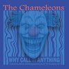 CHAMELEONS – why call it anything (CD, LP Vinyl)