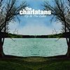 CHARLATANS – up at the lake (LP Vinyl)