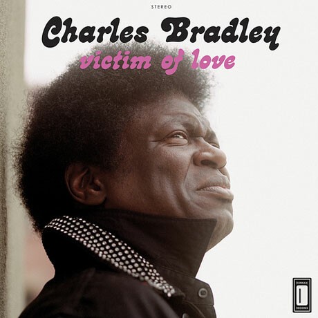 CHARLES BRADLEY – victim of love (CD, LP Vinyl)