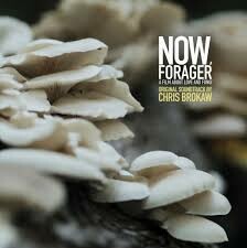 CHRIS BROKAW – now, forager (ost) (LP Vinyl)