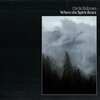 CHRIS ECKMAN – where the spirit rests (CD, LP Vinyl)