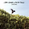 CHRIS WOLLARD – canyons (CD)