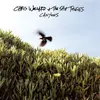 CHRIS WOLLARD – canyons (LP Vinyl)