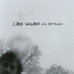 CHRIS WOLLARD & THE SHIP THIEVES – s/t (LP Vinyl)