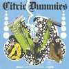 CITRIC DUMMIES – split with turnstile (LP Vinyl)