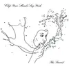 CLAP YOUR HANDS SAY YEAH – the tourist (CD, LP Vinyl)