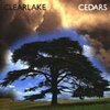 CLEARLAKE – cedars (CD)