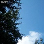 CLOUD NOTHINGS, turning on cover