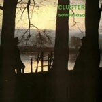 CLUSTER, sowiesoso cover