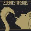 COBRA STARSHIP – while the city sleeps (CD)