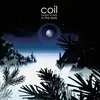 COIL – musick to play in the dark (LP Vinyl)