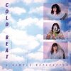 COLD BEAT – a simple reflection (LP Vinyl)
