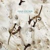 COLIN STETSON – all this i do for glory (CD, LP Vinyl)