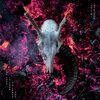COLIN STETSON – the love it took to leave you (CD, LP Vinyl)