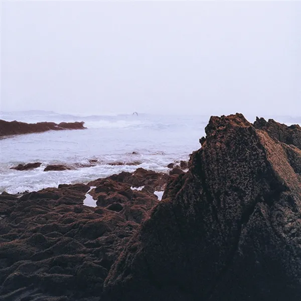 COLTAINE – brandung (LP Vinyl)