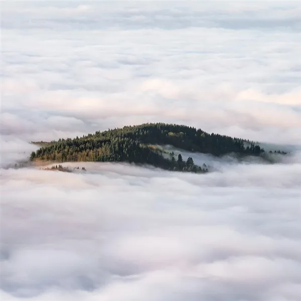 COLTAINE – forgotten ways (LP Vinyl)