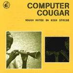 COMPUTER COUGAR – rough notes on high (CD, LP Vinyl)