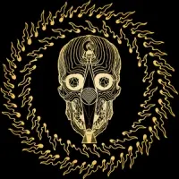 CONVERGE – thousands of miles between us (Video, DVD)