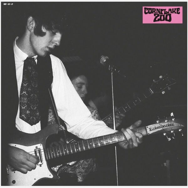 CORNFLAKE ZOO – knights of fuzz (LP Vinyl)