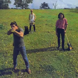 COSMIC PSYCHOS – down on the farm (LP Vinyl)