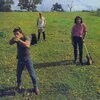 COSMIC PSYCHOS – down on the farm (LP Vinyl)