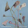 COSMO SHELDRAKE – eye to the ear (LP Vinyl)