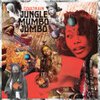 COULTRAIN – jungle mumbo jumbo (LP Vinyl)