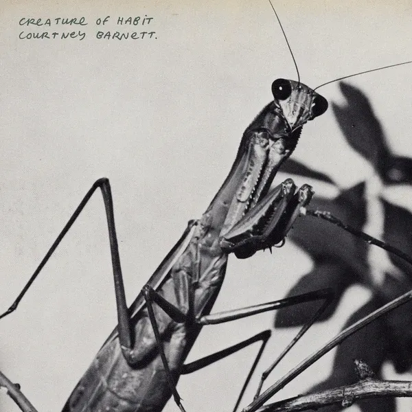 COURTNEY BARNETT – creature of habit (LP Vinyl)
