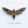 COWBOY JUNKIES – such ferocious beauty (CD, LP Vinyl)
