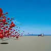 CRANBERRIES – wake up and smell the coffee (CD, LP Vinyl)