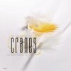 CRANES – john peel sessions (CD, LP Vinyl)