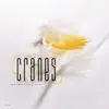 CRANES – john peel sessions (CD, LP Vinyl)