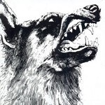 CRIPPLED BLACK PHOENIX – i, vigilante (LP Vinyl)