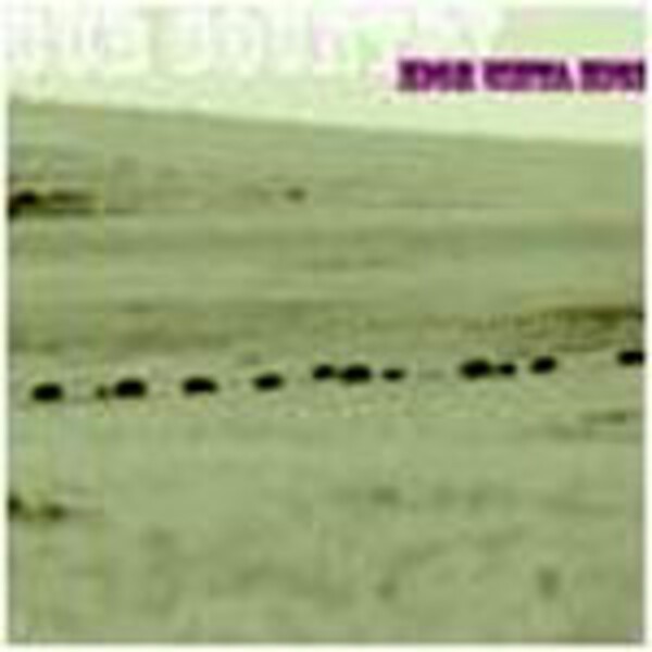 CUB COUNTRY – high uinta high (CD, LP Vinyl)