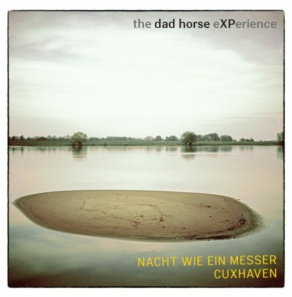 DAD HORSE EXPERIENCE – nacht wie ein messer (10" Vinyl)