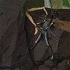 DANAVA – hemisphere of shadows (LP Vinyl)