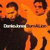 DANKO JONES – born a lion (LP Vinyl)