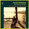 DAVID CHRISTIAN AND THE PINECONE ORCHESTRA – for those we met on the way (CD, LP Vinyl)