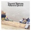 DAVID NANCE & MOWED SOUND – s/t (LP Vinyl)
