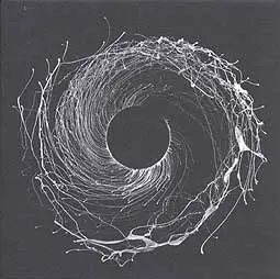 DAWN OF MIDI – dysnomia (CD, LP Vinyl)