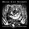 DEAD CAT STIMPY – uneasy grounds (LP Vinyl)