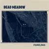 DEAD MEADOW – foundlings (CD, LP Vinyl)